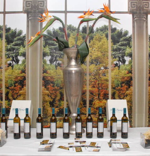 El I Salón Solwines de Málaga acogió dos catas de 15 marcas de vino de la D.O. Rías Baixas 1