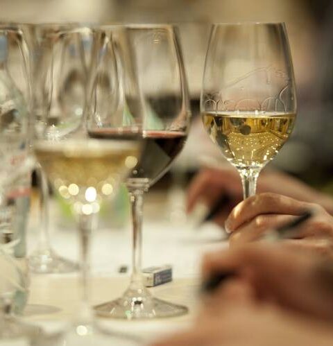 El vino blanco tiene los mismos beneficios para la salud que el vino tinto 1