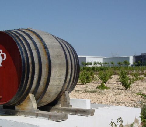 Se subastan los vinos de la histórica bodega alicantina Salvador Poveda valorados en 1,3 millones de euros 1