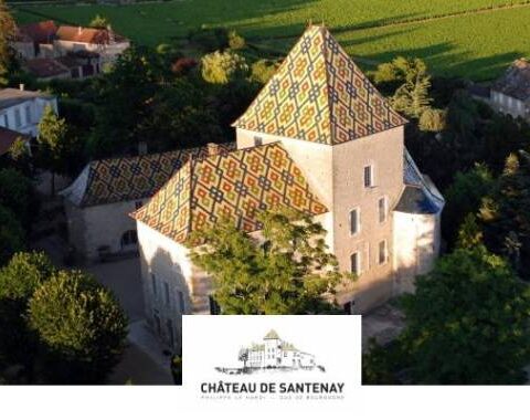 Château de Santenay cree que 'los borgoña' pueden estar ante la mejor vendimia de la historia 1