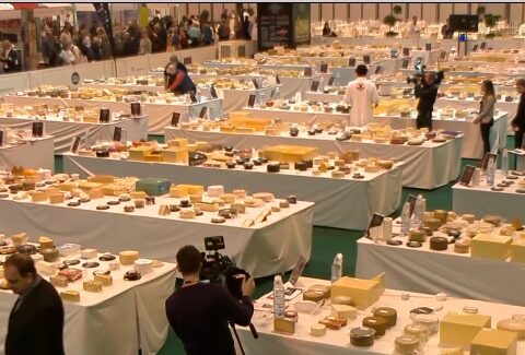 El queso Torta De Trujillo de Quesería Finca Pascualete, el mejor queso de España en los World Cheese Awards 1
