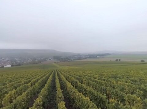 Un paseo de 360º en 3D por los viñedos de la región de la Champagne 1