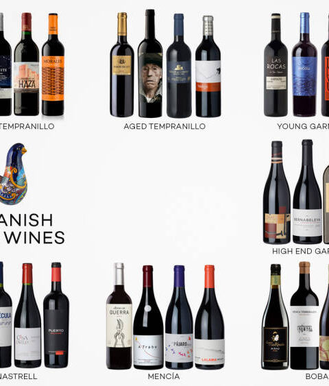 7 Tipos de vino tinto de España 1