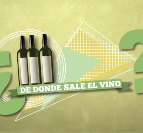 D.O. Rías Baixas, ¿cómo se hace el vino? (vídeo explicativo de poco  más de 2 minutos) 1