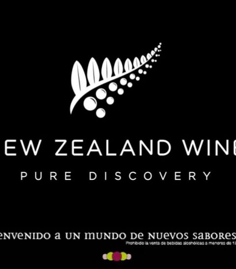 Nueva Zelanda consigue record de exportaciones de sus vinos en 2015 1