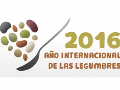 ¿Sabíais que la ONU y la FAO han nombrado al 2016 como Año Internacional de las legumbres? 1