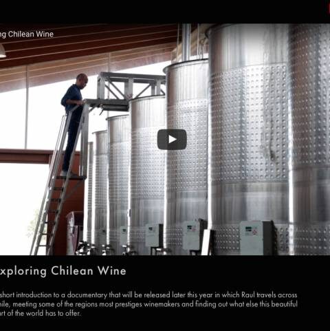 Wine Training School lanza un nuevo canal en Youtube para aprender de vinos de forma sencilla 1