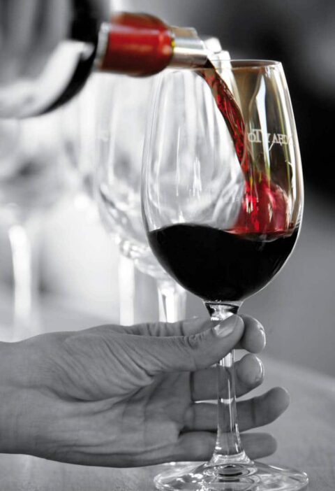 Viña Concha y Toro aumenta sus ventas en 9,1% y volúmenes comercializados de vino crecen un 3,4% durante el 2015 2