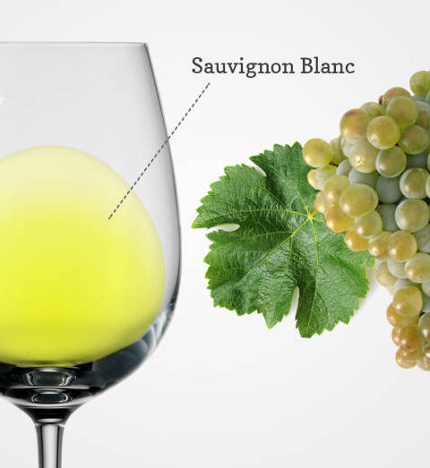 ¿Dónde encontrar el mejor Sauvingnon Blanc? 2