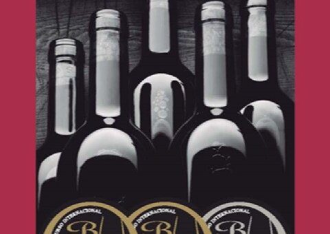 Los vinos del Bierzo tienen un papel destacado en los Premios Bacchus 2016 con 11 medallas 1