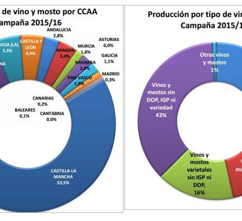 Previsión de 42 millones de hectolitros de vino y mosto para la campaña 2015/2016 en España 3