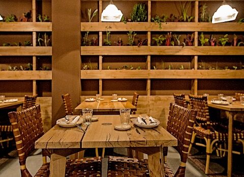4 amb 5 mujades nuevo concepto de restaurante gastronómico de homenaje a las verduras 1