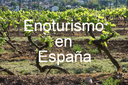 Enoturismo en España