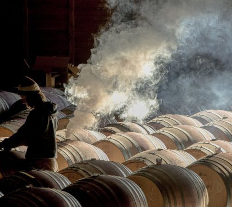 Robert Holmes mejor fotógrafo del vino del año por su foto de la sala de barricas de Maysara Bodega en Oregon 1