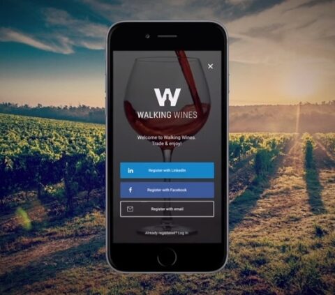 Walking Wines start-up española centrada en que pequeñas producciones lleguen a todo el mundo 1