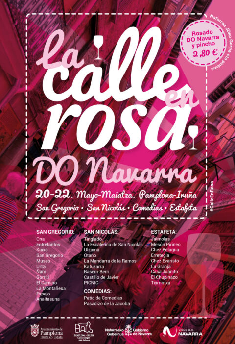 Tercera edición de La Calle En Rosa en Pamplona 1
