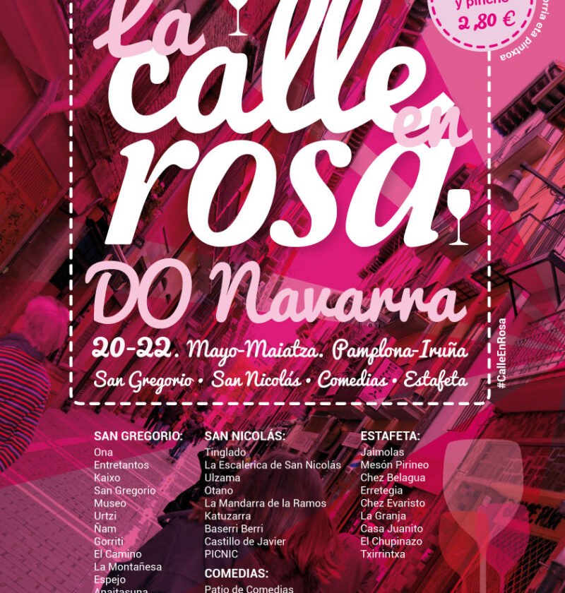 Tercera edición de La Calle En Rosa en Pamplona 1