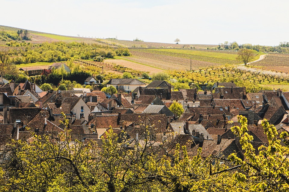 Éxito en 2017 para los vinos de Borgoña