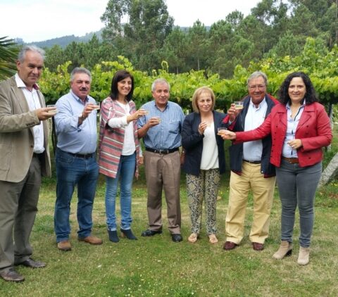 Ribeiras do Morrazo ya es nueva IGP de vinos en Galicia 1