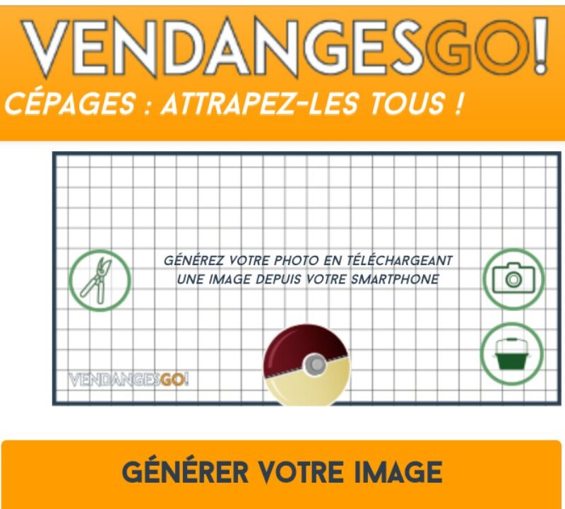 Vendages GO! App para capturar fotos de todas las vendimias en regiones francesas 1