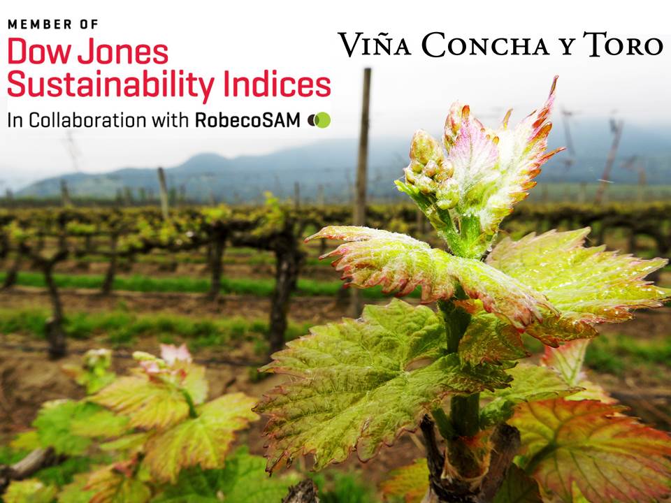 Viña Concha y Toro, única compañía vitivinícola del mundo en integrar el Índice de Sustentabilidad de Dow Jones 2016
