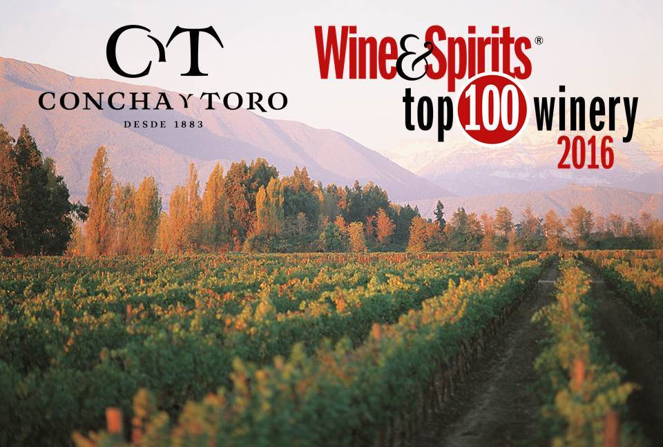 Concha y Toro entre las más premiadas del mundo como Viña del Año por Wine & Spirits
