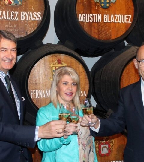 La Ruta del vino y el brandy del Marco de Jerez recibe tres galardones en los III Premios de enoturismo 'Rutas del vino de España' 1