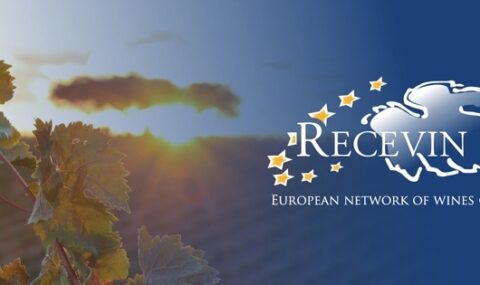 Cambados será Ciudad Europea del Vino 2017 #recevin 1
