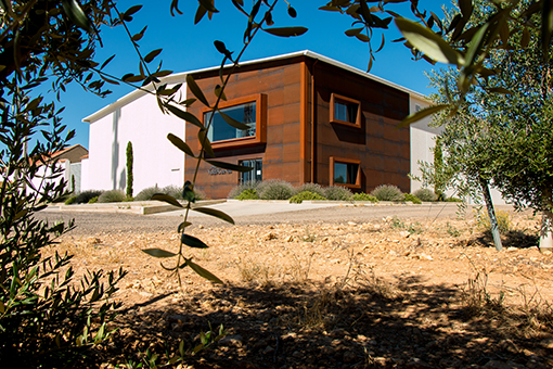 Pago de Valdecuevas, almazara autosuficiente, apuesta por la biomasa como fuente de energía 1