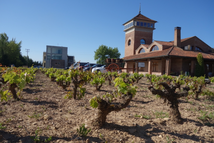 Visita de enoturismo a Viña Ijalba, vinos ecológicos en La Rioja 1
