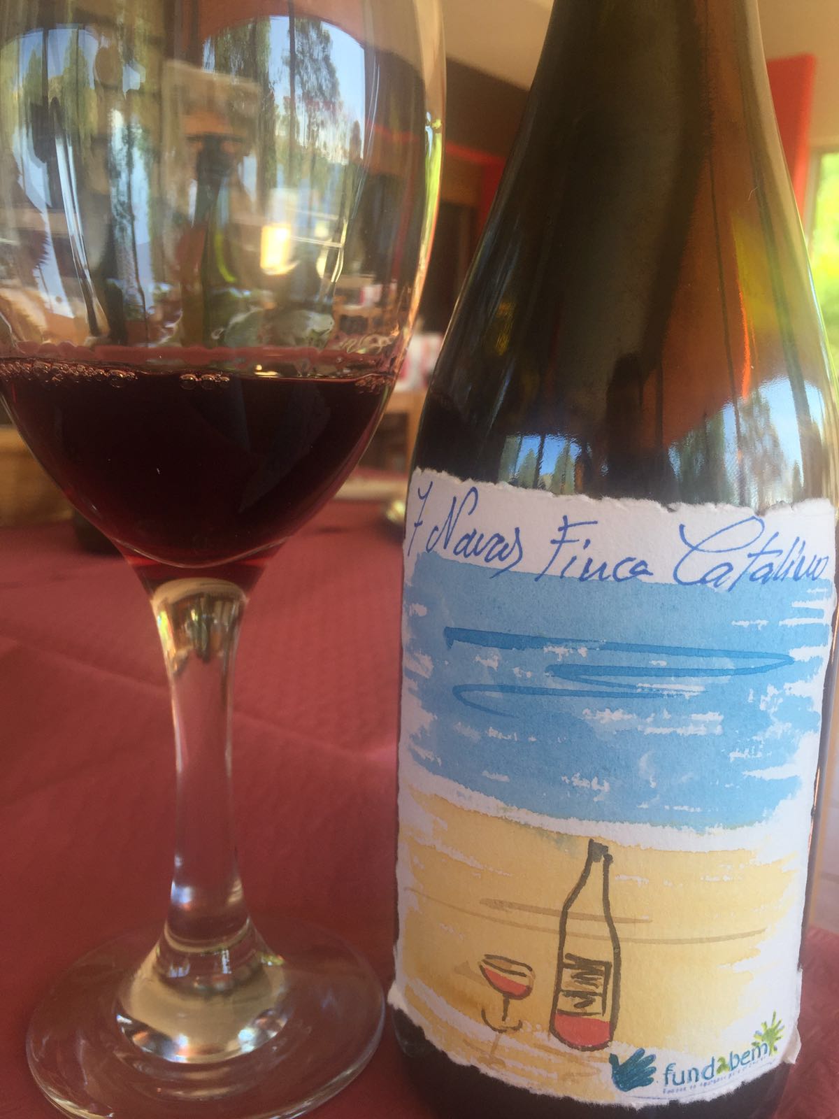 Catamos 7 Navas Finca Catalino 2009 1