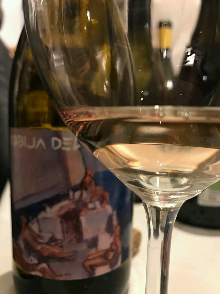 Catamos Cobija del Pobre 2013 Godello 1