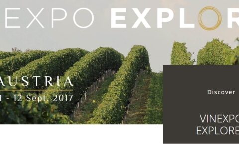 Vinexpo Explorer pensado para los compradores internacionales 1