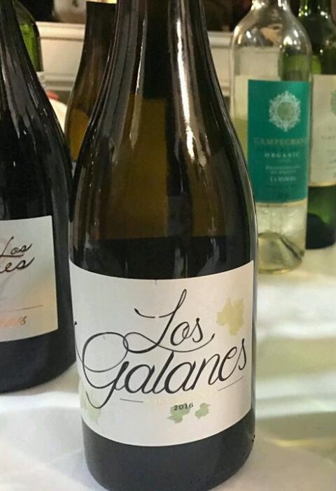 Catamos Los Galanes Chardonnay 2016 1
