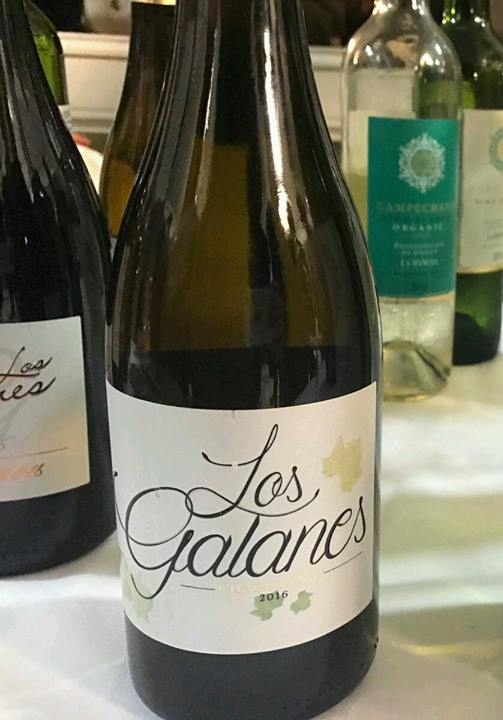 Catamos Los Galanes Chardonnay 2016 1