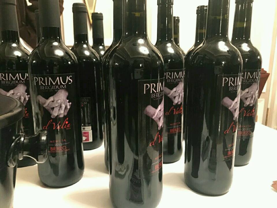 Catamos El Valín 2015 1