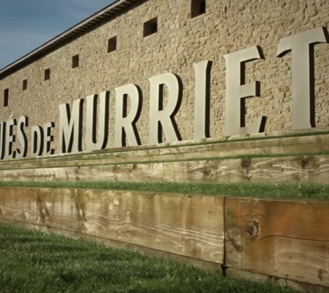 Marqués de Murrieta, una visita única descubriendo el origen del vino en Rioja 1