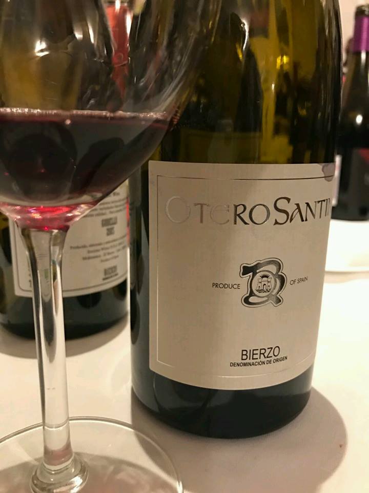 Otero Santín Mencía Crianza 1