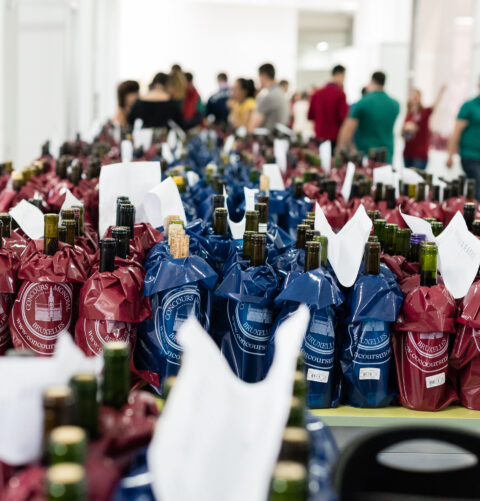 9080 vinos serán evaluados desde hoy en el Concours Mondial de Bruxelles 1