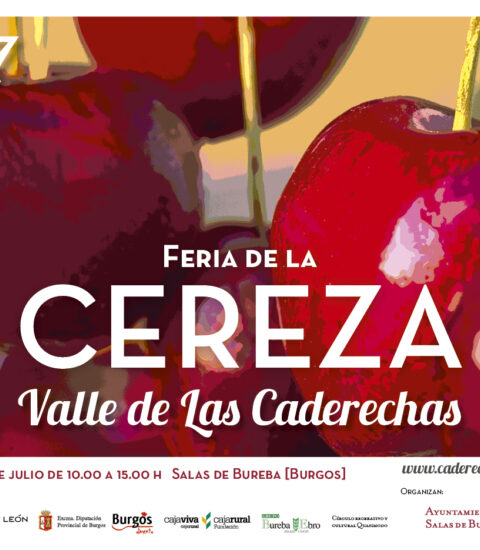 Feria de la Cereza del Valle de Las Caderechas 2017 1