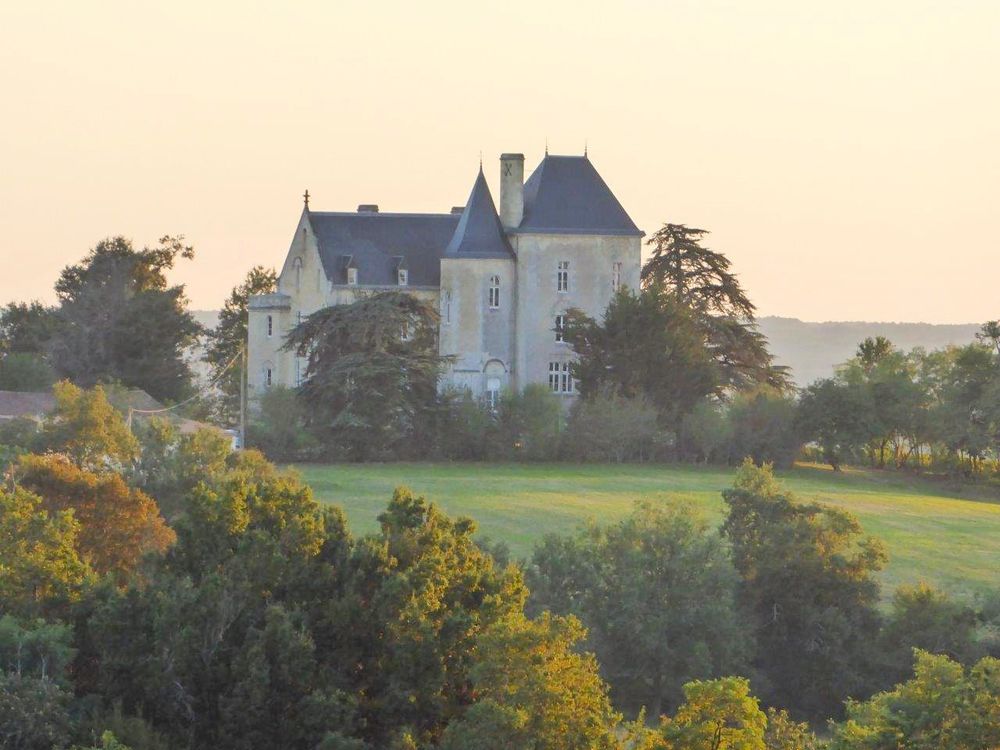 Bordeaux Wine Estate Chateau Fauchey vendido a inversor chino 1
