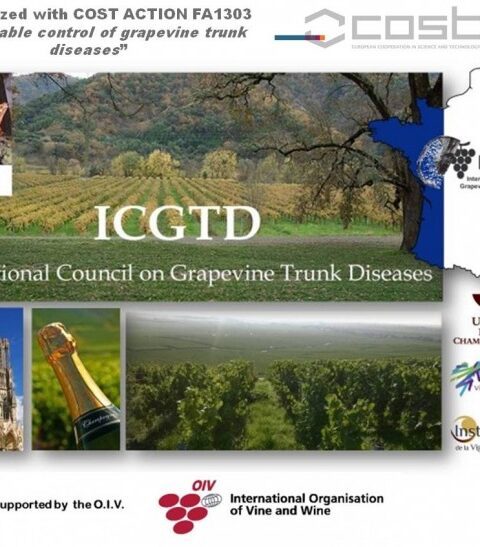 Congreso internacional sobre enfermedades de la madera de la vid 1