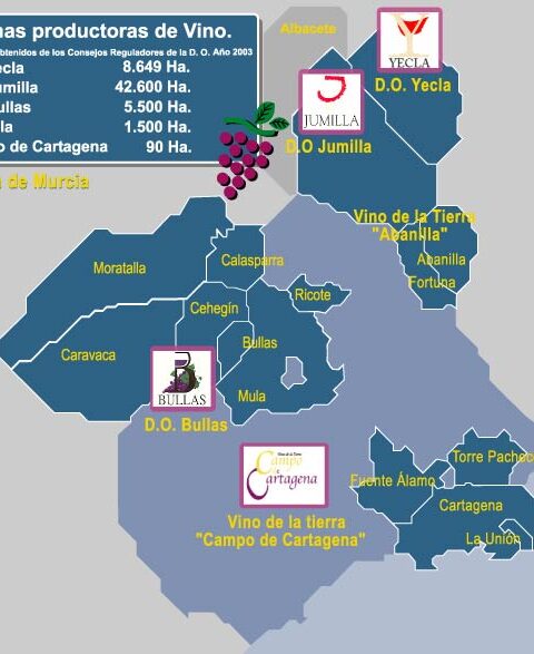 Las DO's Jumilla, Bullas y Yecla se unen al proyecto nacional de la huella dactilar del vino 1