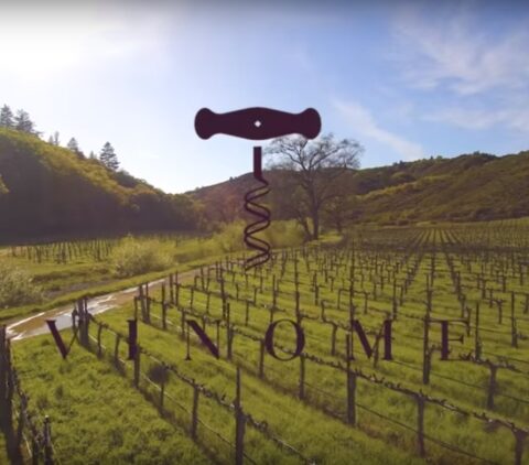 Vinome lanza su primera experiencia vinícola basada en el ADN 1