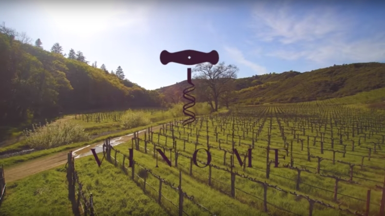 Vinome lanza su primera experiencia vinícola basada en el ADN