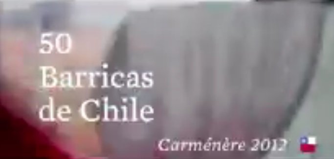 50 Barricas, 50 Bodegas y 50 Enólogos para elaborar un único Carménère que represente a Chile 1