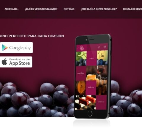 Una app para conocer lo que quieras de los vinos uruguayos 1