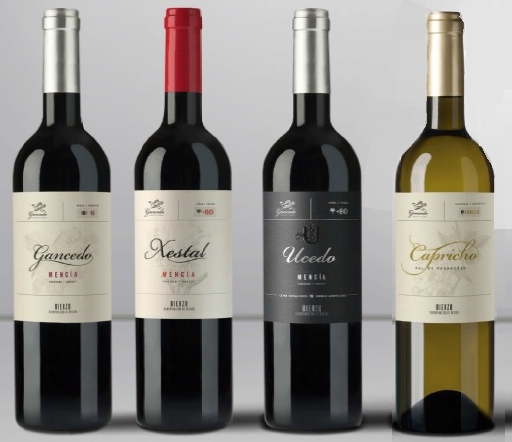 Excelentes puntuaciones de James Suckling a los vinos de Bodegas y Viñedos Gancedo   