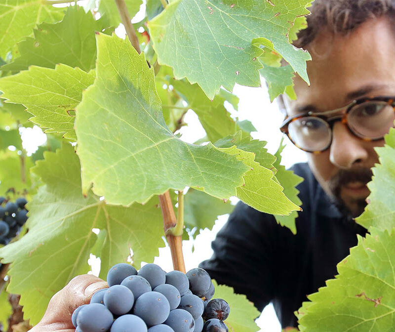 Fernando Mora, el segundo español en llegar a Master of Wine (MW) 1