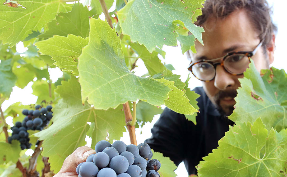 Fernando Mora, el segundo español en llegar a Master of Wine (MW) 1